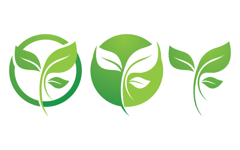 Green Leaf Nature Vector Logo Template V21