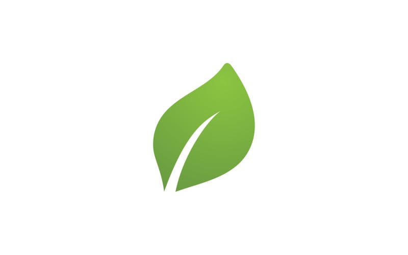 Foglia verde Logo Vector Nature Elements V5