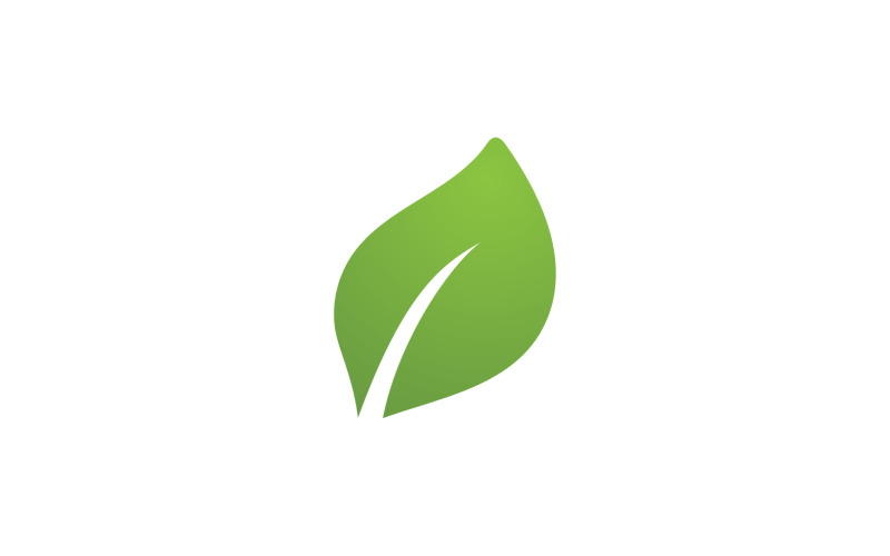 Liść Zielony Logo Wektor Natura Elementy V5
