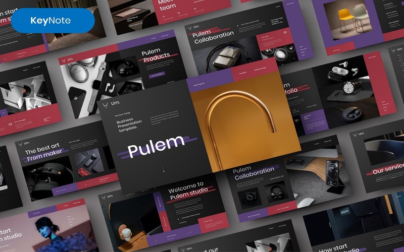 Pulem -商业主题模板