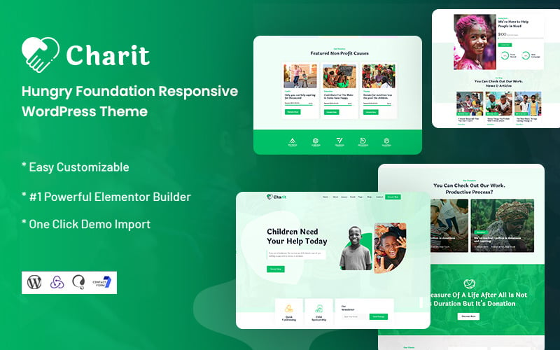 Charit - Hungry Foundation Responsive WordPress-thema