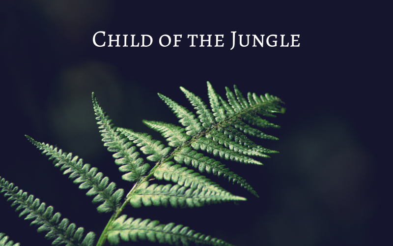 Child of the jungle - Ambient Indie Pop - Música de stock