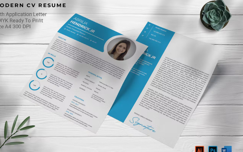 Professional Resume CV Template Design vol 01