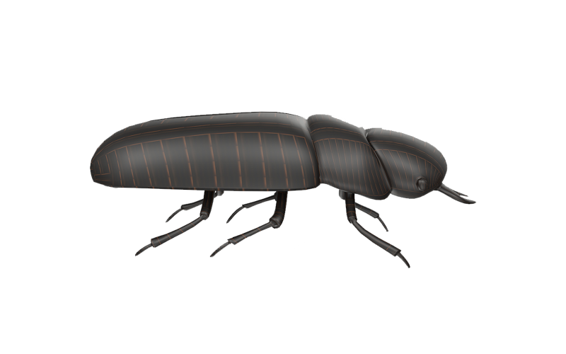 Czarny Bug Model 3D Low Poly