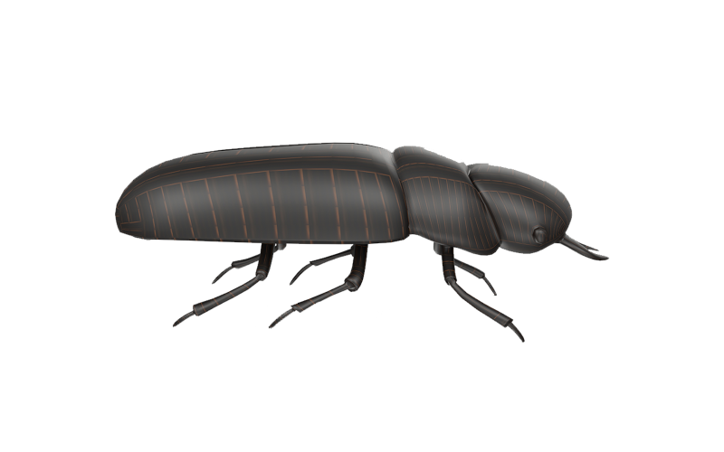 Modelo Low Poly 3D Bug Preto