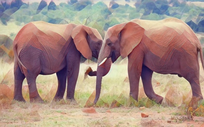 两只大象水彩画插图背景