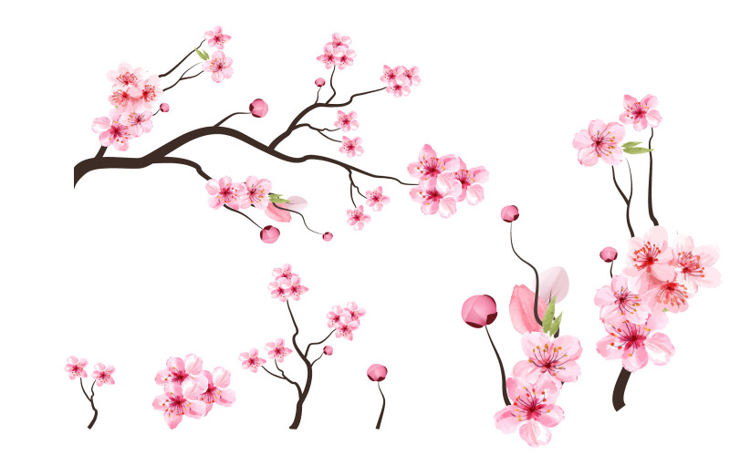 樱花树树枝上的花向量