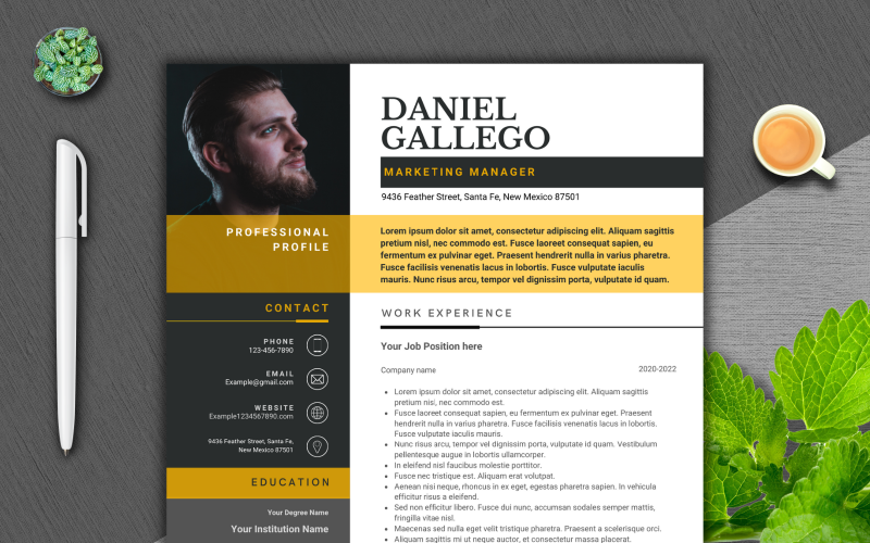 Daniel Gallego - Modello di curriculum professionale e moderno