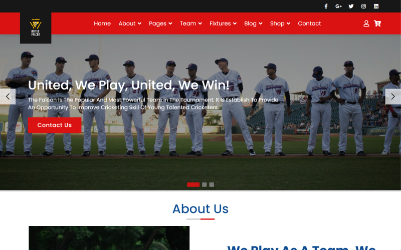 Falcon -体育和板球俱乐部网站的HTML5模板