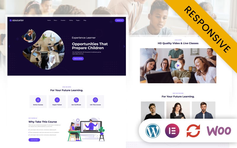 Educatsy - Education & Online Courses Elementor WordPress Responsive Theme