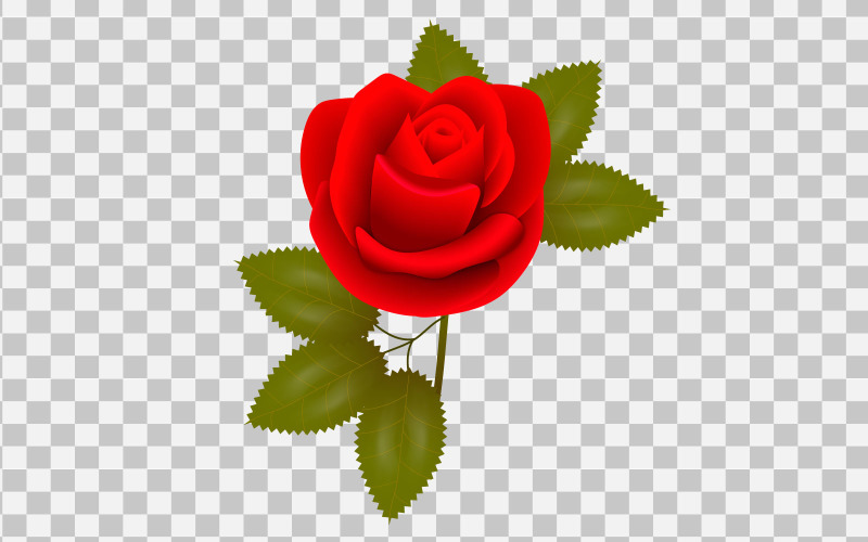 矢量红玫瑰现实玫瑰花束与红花概念的想法