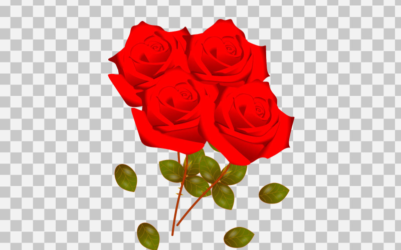 矢量红玫瑰集现实玫瑰花束与红花的概念