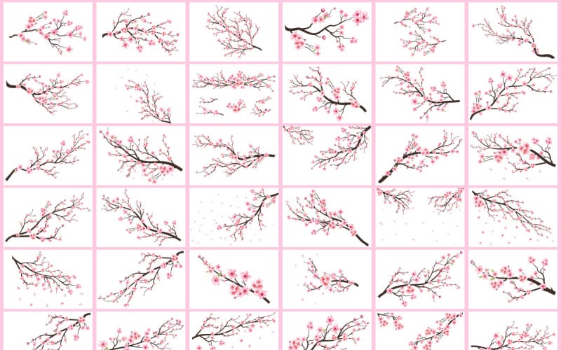 Colección de ramas de flores de cerezo