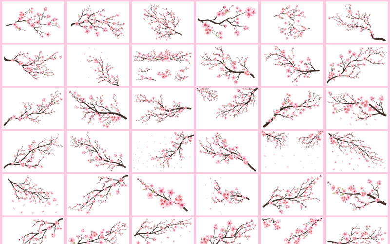 Collection de branches de fleurs de cerisier