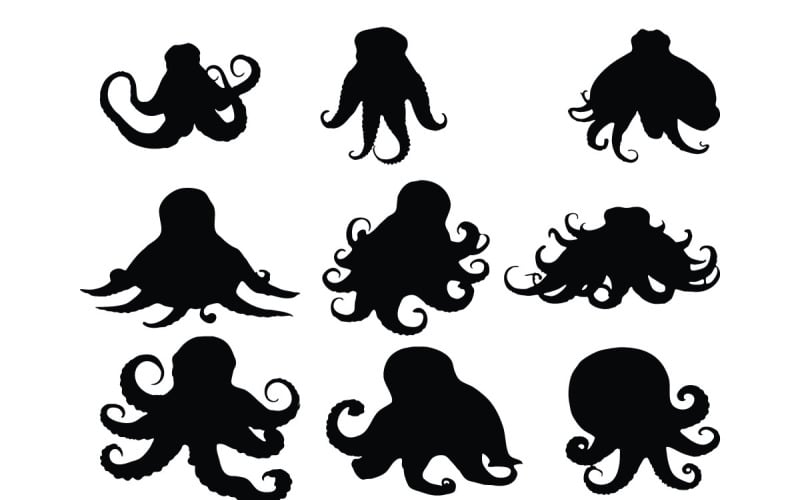 Octopus Silhouette Collection Vector TemplateMonster