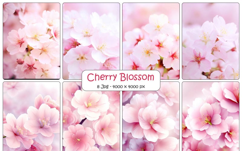 Beautiful sakura blossom branch flowers, Realistic cherry blossom background