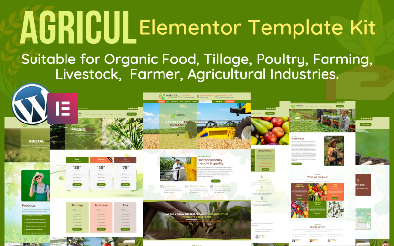 农业-现代有机农场，农业WordPress元素模板工具包.