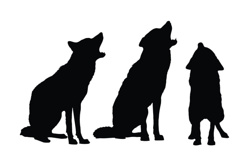 Carnivore wolves silhouette collection