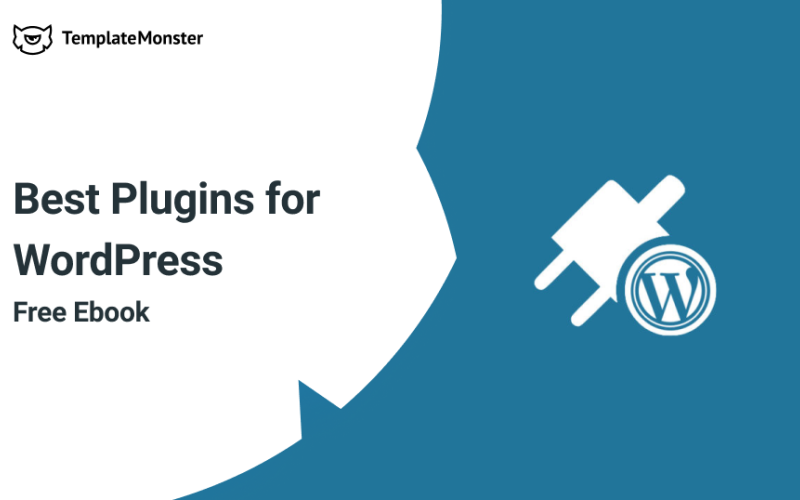 Best Plugins for a New WordPress Site Free eBook