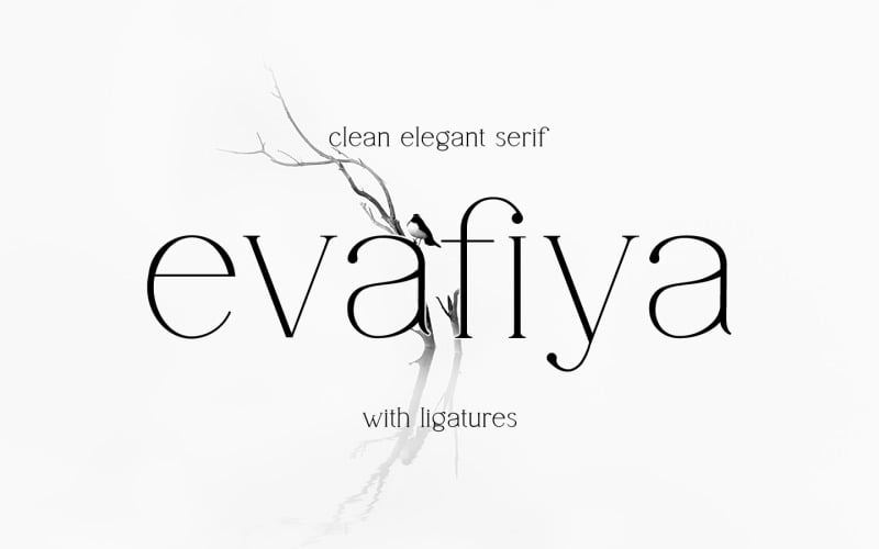 Evafiya是一种带有插座的优雅字体