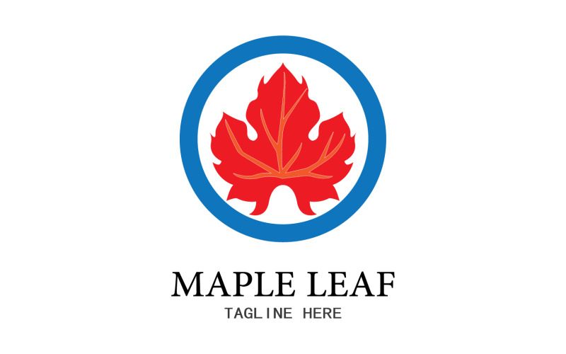 Leaf Mapple vector logo icon v20