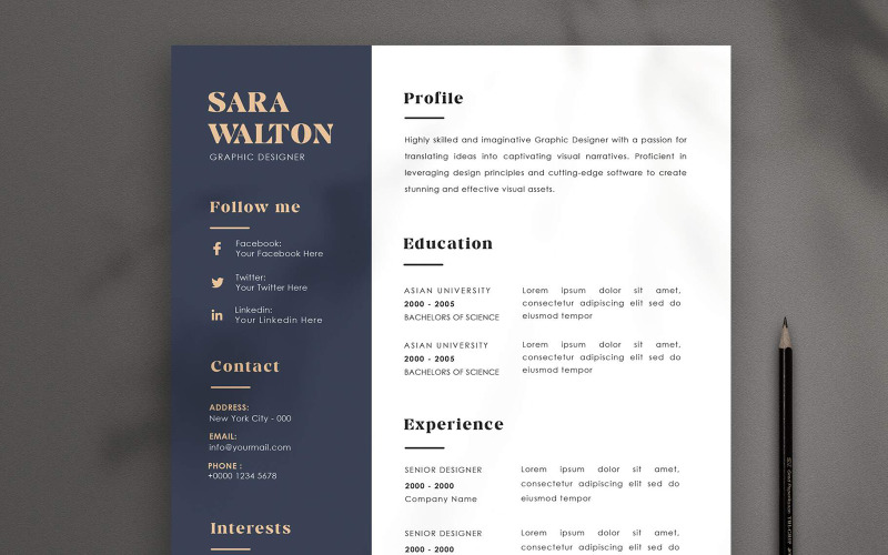 Luxurious Style Resume CV Design Template