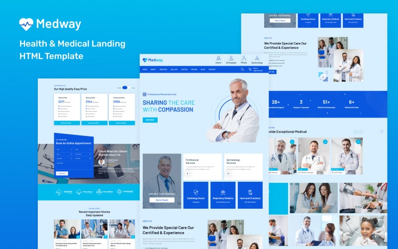 Medway-健康医疗登陆HTML模板
