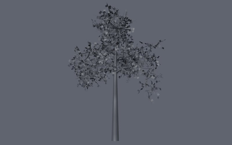 简单的树工具为Cinema 4D
