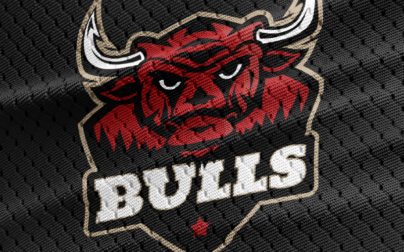 Bulls - універсальний шаблон логотипу