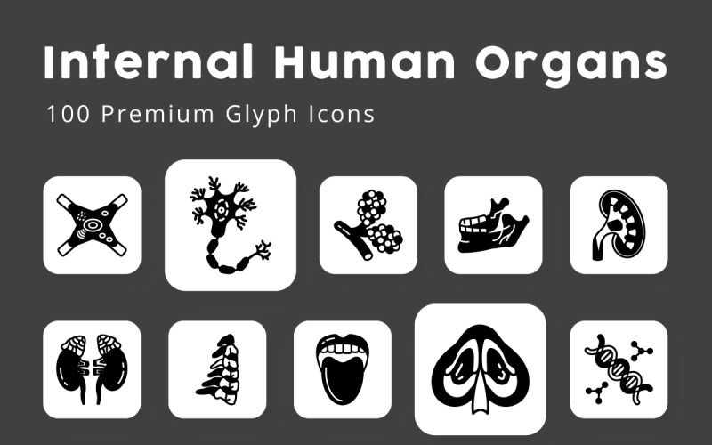 Organes humains internes 100 icônes de glyphes premium