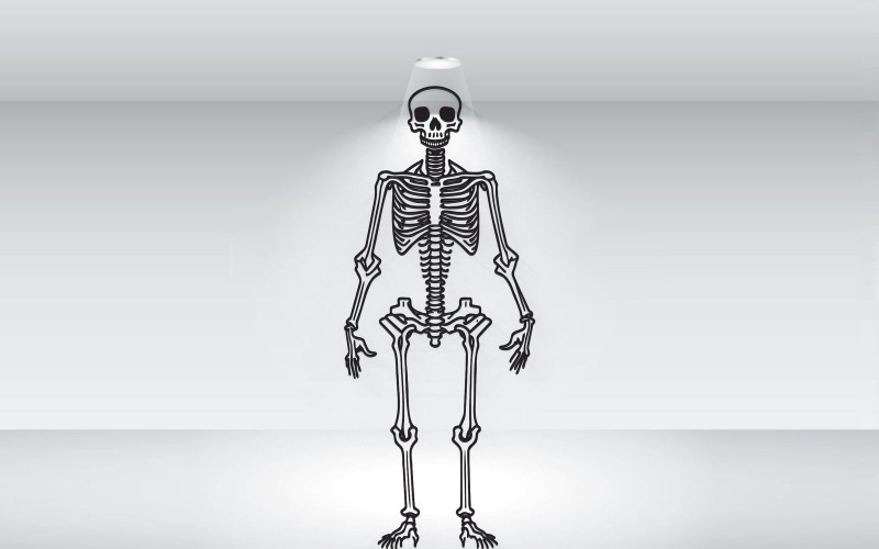 人类骨骼插图黑白矢量
