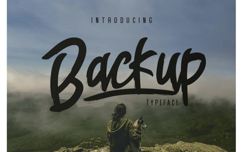 Backup Typeface Font - Backup Typeface Font