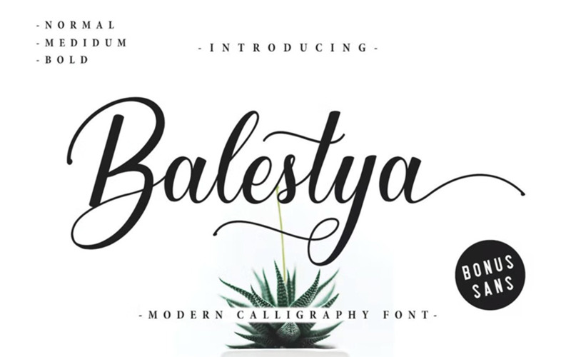 Balestya Script Font - Balestya Script Font