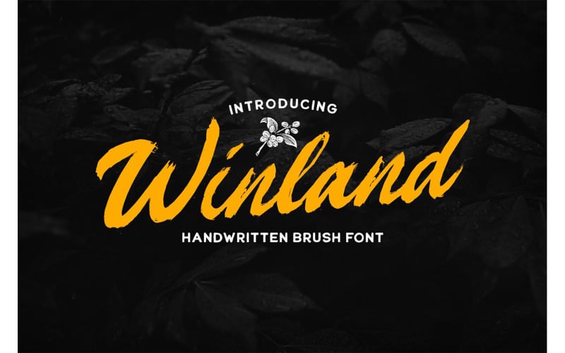 Winland Font - Winland Font