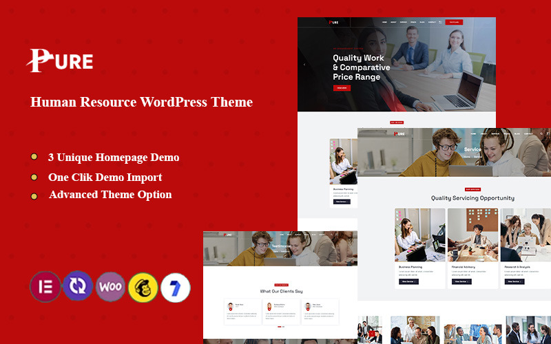 Pure - Human Resource Wordpress Téma