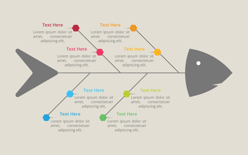 Fishbone infographic vektoros tervezés
