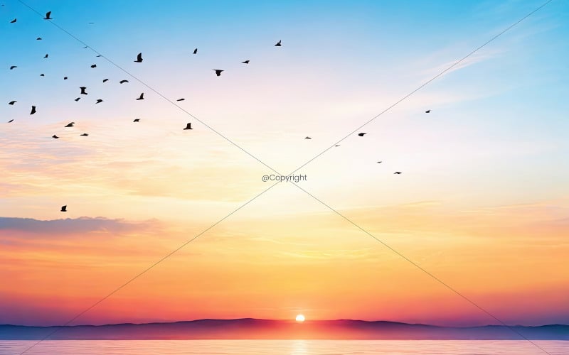 Résumé beau fond de ciel d'été paisible lever de soleil nouveau jour et volée d'oiseaux 01