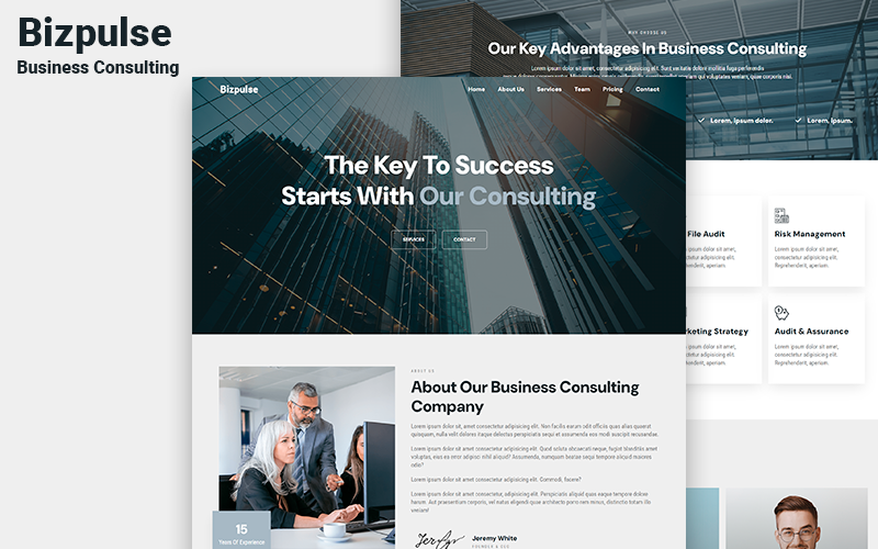 Bizpulse - Business Consulting HTML5 målsidamall