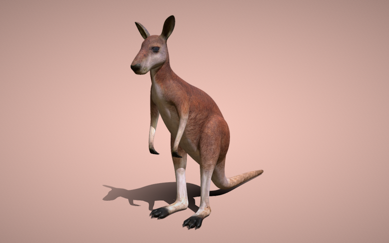 Kanguru 3D Modelimiz ile Yaratıcılığa Sıçrayın: Dinamik Sunumlar için Mükemmel