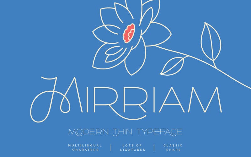 Mirriam -现代细字体