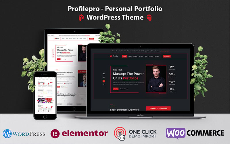 Profilepro -个人投资组合WordPress主题