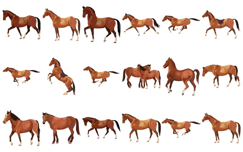 Paarden in verschillende poses SVG-bundel - elegante kunst voor aangepaste ambachten, kleding, woondecoratie en geschenken