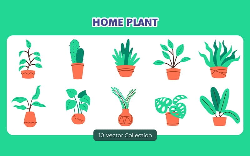Collezione di set di piante domestiche