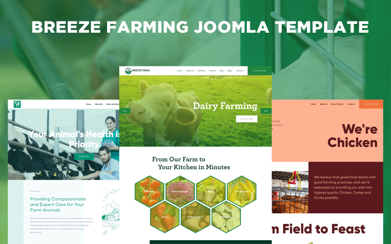 农业和家禽的Joomla模型微风农场