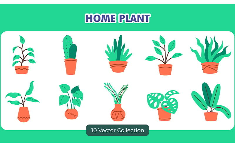 Coleção de conjuntos de vetores de decoração de plantas para casa