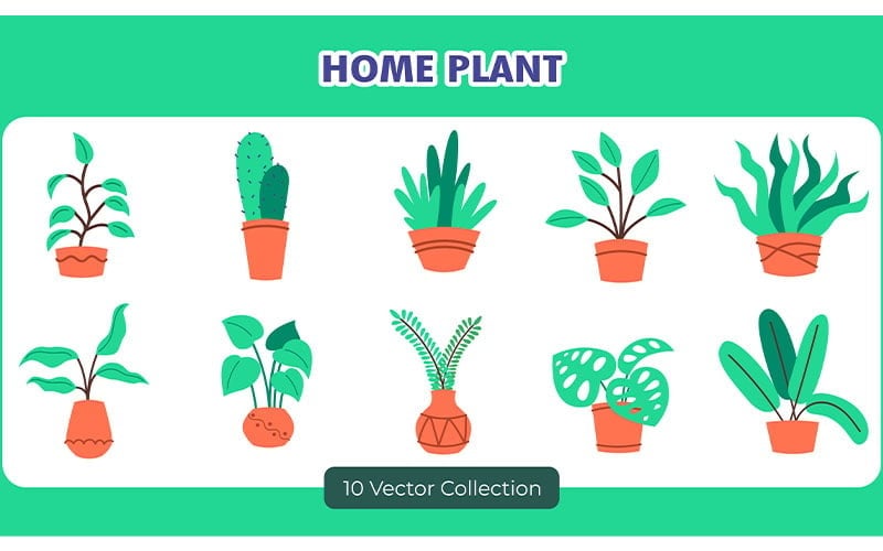 Colección de conjuntos de vectores de decoración de plantas caseras