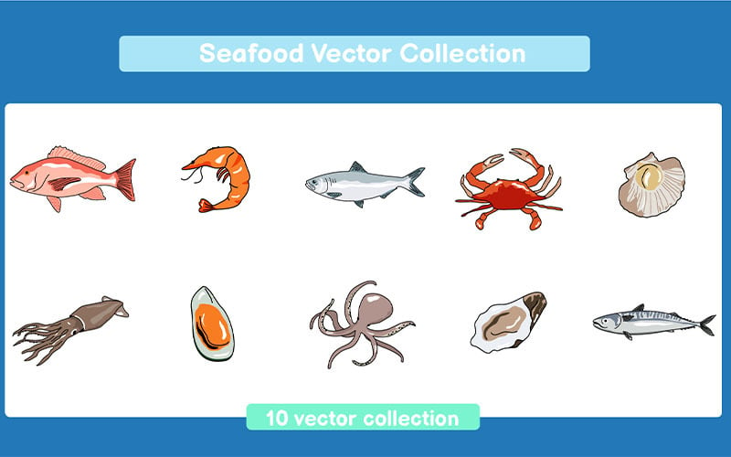 Ensemble de collection de vecteurs de fruits de mer