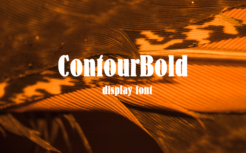 ContourBold-09-24-Regular