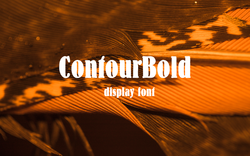 ContourBold-09-24-Regulier