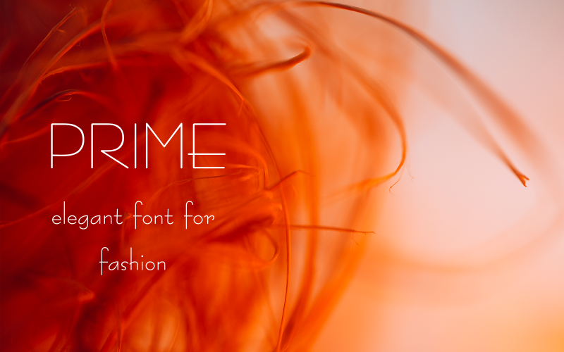 Prime-08-24-Modern Font-Regular